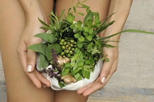 Alternative Medicine Prints: Ingredients of herbal compresses including camphor, basil and lemongrass