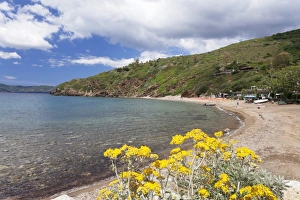 Livorno Province Prints: Innamorata beach, Golfo Stella, Island of Elba, Livorno Province, Tuscany, Italy, Europe
