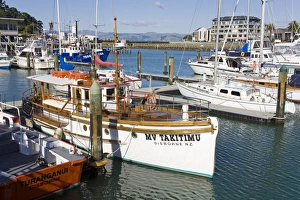 Gisborne Prints: Inner Harbour, Gisborne, Eastland District, North Island, New Zealand, Pacific
