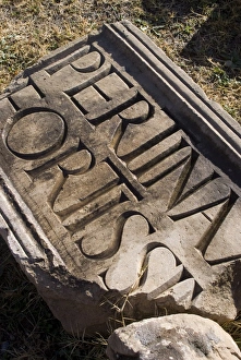 Images Dated 27th December 2007: Inscriptions at the museum, taken from the Roman site of Lambaesis, Algeria
