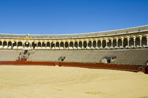 El Arenal Prints: Inside the Bull Ring