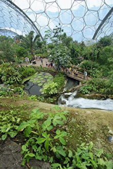 Inside the Humid Tropics biome at the Eden Project, opened in 2001 at a china clay pit near St