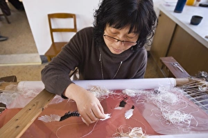 Concentration Prints: The Institute of Su Zhou Embroidery, Suzhou, Jiangsu, China, Asia