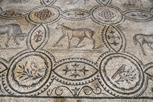 Tiling Prints: Interior of the Cathedral with the mosaic pavement, UNESCO World Heritage Site, Aquileia