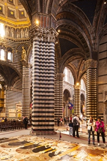 Chair Prints: Interior of (Duomo di Siena) (Siena Cathedral), dating from the mid-14th century