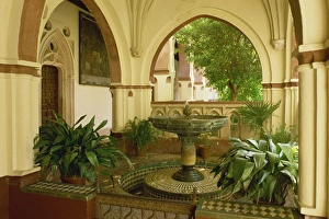 Guadalupe Prints: Interior with fountain and plants in the patio of
