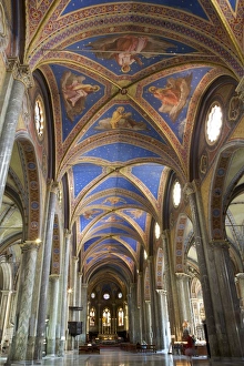 Nave Prints: Interior nave, Church of Santa Maria sopra Minerva, Rome, Lazio, Italy, Europe