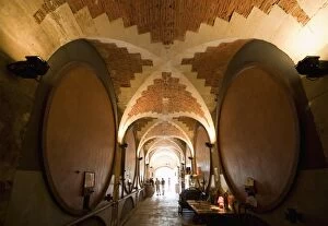 Interior of wine cellar (Caveau) of Chateau de Ventenac-en-Minervois, near Narbonne, Languedoc-Roussillon, France