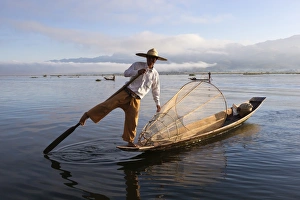 One Man Only Prints: Intha leg-rower fisherman, Inle Lake, Shan State, Myanmar (Burma), Asia