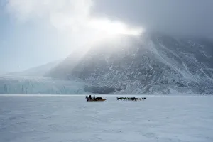 Large Group Of Animals Gallery: Inuit hunter and his dog team travelling on the sea ice, Greenland, Denmark, Polar