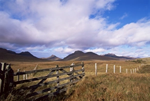 Fence Prints: Inverpolly National Nature Reserve