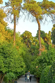 Togetherness Gallery: Three Iranian women walking through the Bagh-e Eram (Garden of Paradise), Shiraz