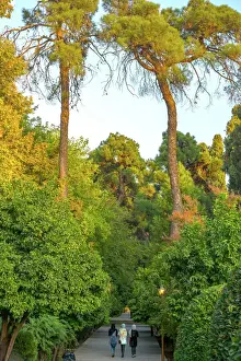 Footpath Prints: Three Iranian women walking through the Bagh-e Eram (Garden of Paradise), Shiraz