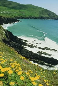 Irish summer colours, Slea Head, Dingle Peninsula, County Kerry, Munster