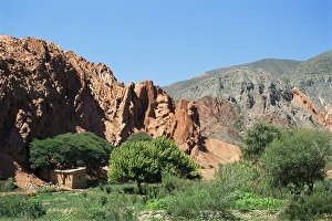 Purmamarca Prints: Irrigated vegetable garden in the desert hills, near Purmamarca, Jujuy