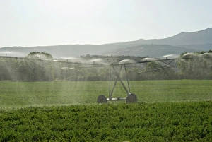 Irrigation Prints: Irrigation in countryside near San Quirico d Orcia, Siena, Tuscany, Italy, Europe