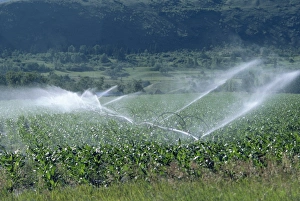 Irrigation Prints: Irrigation system, British Columbia, Canada, North America