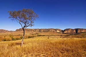 Images Dated 22nd August 2007: Isalo National Park, Madagascar, Africa