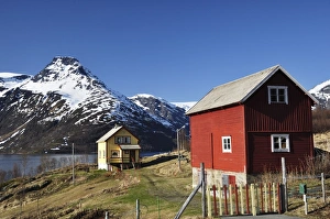Fjord Prints: Isfjorden near Saltnes, Norway, Scandinavia, Europe
