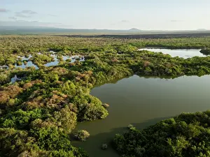 Wetlands Prints: Isla Isabela, Galapagos Islands, Ecuador