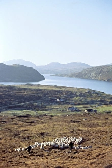 Island of Harris