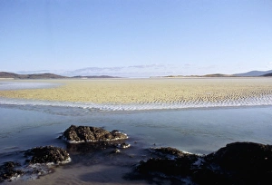 Island of Harris