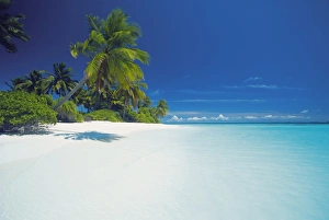 Images Dated 1st July 2009: Island and lagoon, Maldives, Indian Ocean, Asia