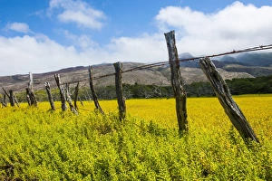 Wooden Post Gallery: Island of Molokai, Hawaii, United States of America, Pacific