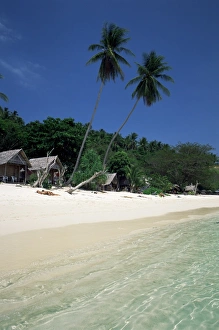Images Dated 17th January 2000: Island of Phi Phi Don
