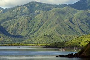 Nusa Tenggara Prints: Island of Pulau Komodo, Nusa Tenggara, Indonesia, Southeast Asia, Asia