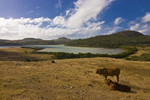 Images Dated 2nd September 2007: The island of Rodrigues, Mauritius, Indian Ocean, Africa