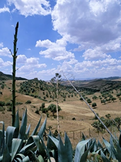 Island of Sicily