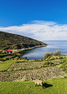 Rope Prints: Island of the Sun, Titicaca Lake, La Paz Department, Bolivia, South America