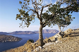 Dodecanese Prints: Island of Symi