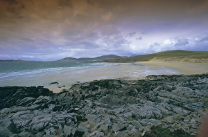 Sea Weed Prints: Isle of Harris