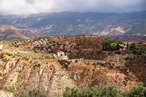 Granada Prints: Isolated farmhouses and olive groves in the Andalusian countryside near Durcal with rugged badlands