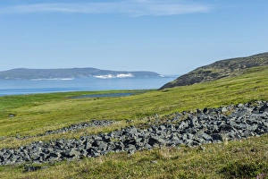 Ittygran Island, Chukotka, Russia, Eurasia