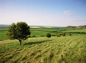 Ivinghoe Beacon from the Ridgeway Path, Chiltern Hills, Buckinghamshire