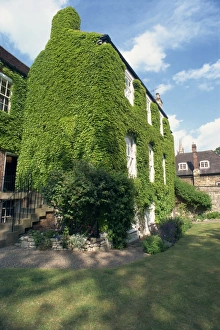 Lincoln Prints: Ivy covered building, Lincoln, Lincolnshire, England, United Kingdom, Europe