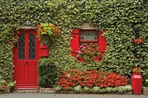 Images Dated 9th August 2006: Ivy covered cottage, Town of Borris, County Carlow, Leinster, Republic of Ireland, Europe