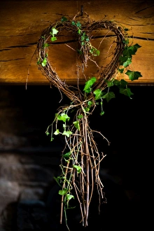 Heart Shape Prints: Ivy in heart shape, United Kingdom, Europe