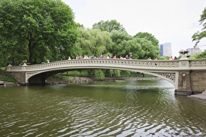 Central Park Prints: _J5R6405-2
