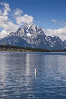 Teton Range Prints: Jackson Lake in the Teton range in the Grand Teton National Park