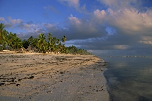 Jambiani Prints: Jambiani beach, Zanzibar, Tanzania, East Africa, Africa