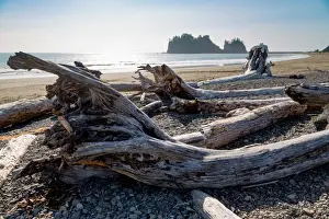 Decay Prints: James Island and driftwood on the beach at La Push on the Pacific Northwest