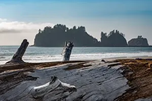 James Island with driftwood on the beach at La Push on the Pacific Northwest coast