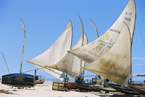 Canoa Quedrada Prints: Jangada fishermens boats on the beach, near Canoa Quedrada, Caera