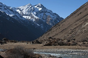 Bhutan Prints: Jangothang valley, Thimpu District, Bhutan, Himalayas, Asia