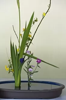 Images Dated 2nd May 2009: Japanese flower arranging (ikebana) also called the way of flowers (kado), Japan