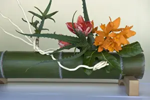 Bamboo Prints: Japanese flower arranging (ikebana) also called the way of flowers (kado), Japan